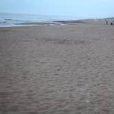 Review photo of Dunewood Campground — Indiana Dunes National Park by Lauren M., August 1, 2018