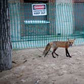 Review photo of Dunewood Campground — Indiana Dunes National Park by Lauren M., August 1, 2018