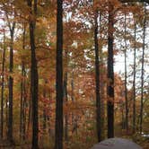 Review photo of Red River Gorge Campground by Lauren M., August 1, 2018