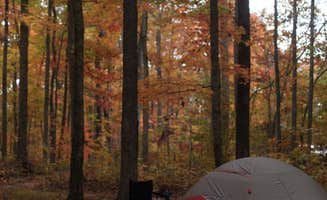 Lauren M.'s photo at Red River Gorge Campground near Salt Lick, KY