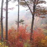 Review photo of Red River Gorge Campground by Lauren M., August 1, 2018