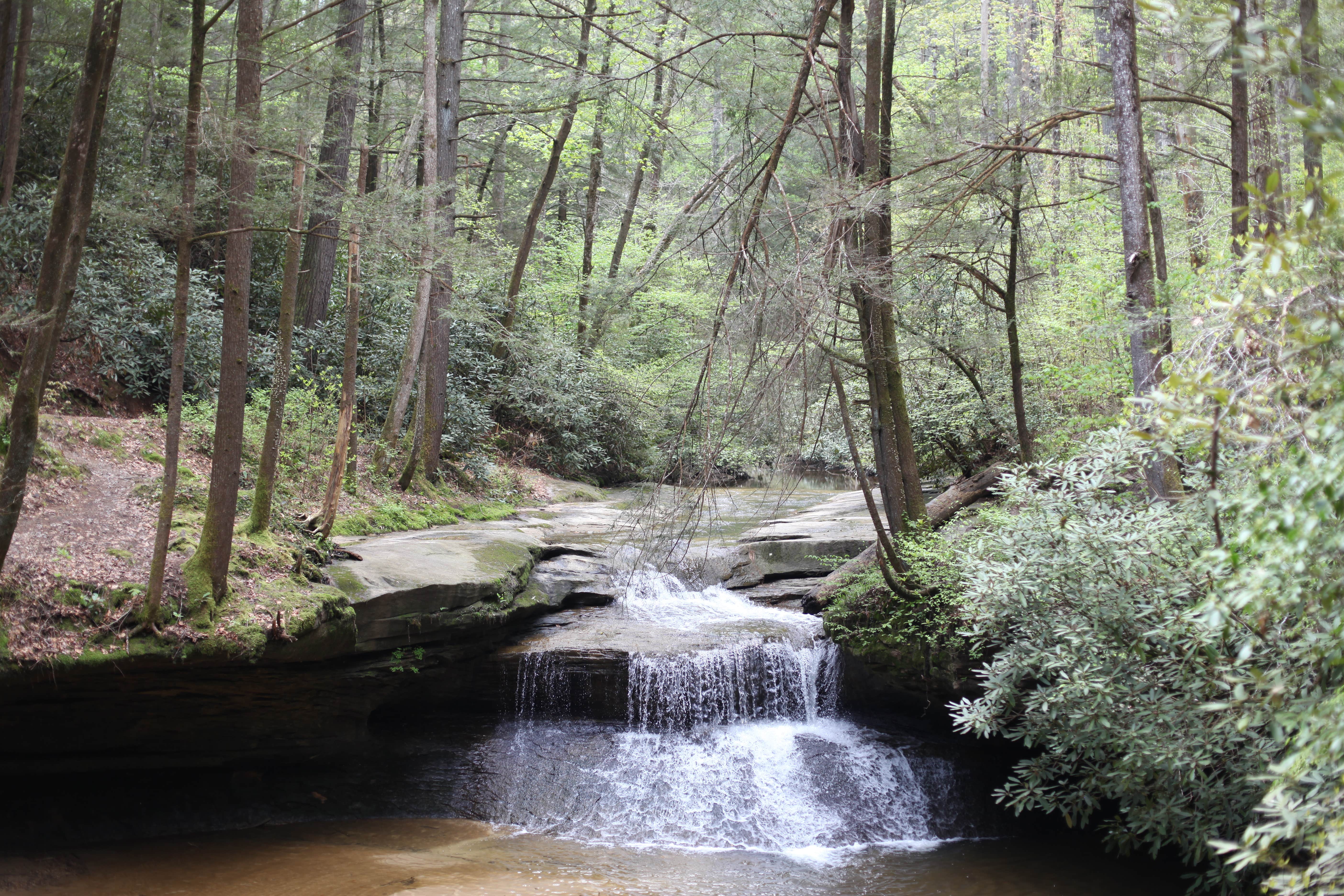Camper-submitted photo at Red River Gorge Campground near Buckhorn Lake