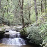 Review photo of Red River Gorge Campground by Lauren M., August 1, 2018