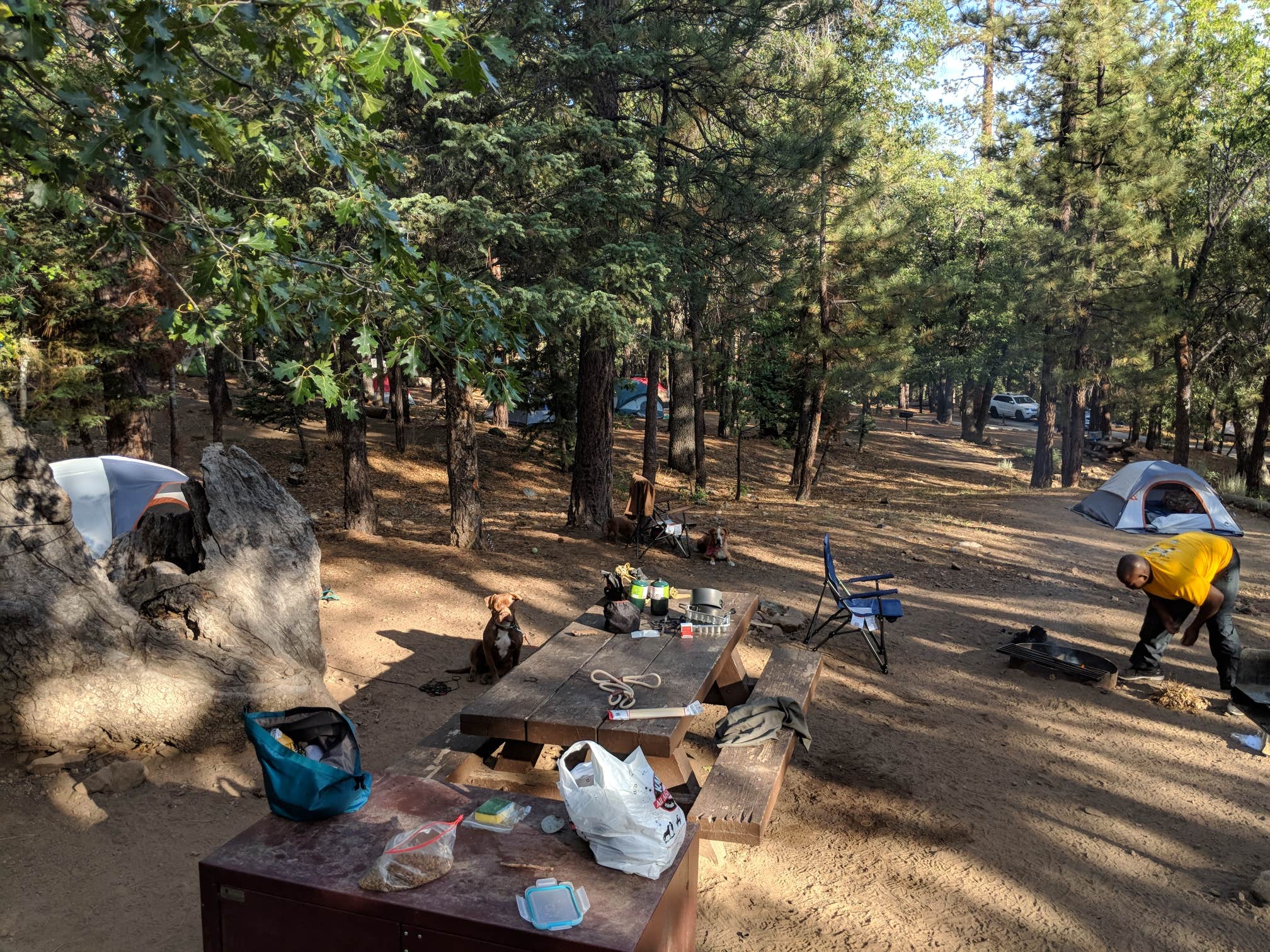 Tyger B.'s photo at Pineknot near Big Bear Lake, CA