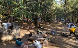 Tyger B.'s photo at Pineknot near Big Bear Lake, CA