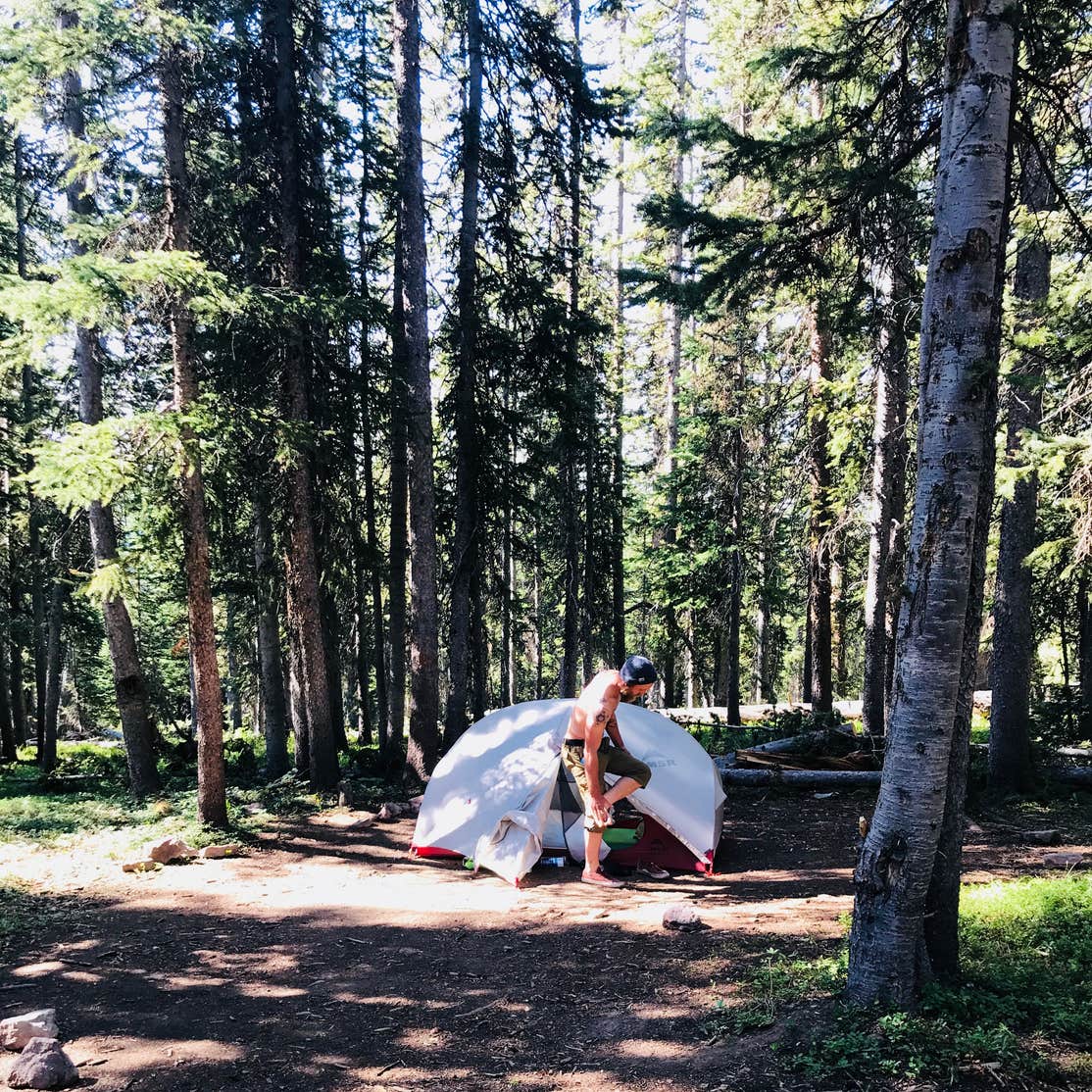 Eagle-Holy Cross Ranger District (Vail-Eagle area) Camping | Avon, Colorado