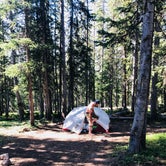 Review photo of Eagle-Holy Cross Ranger District (Vail-Eagle area) by Isabelle K., August 1, 2018