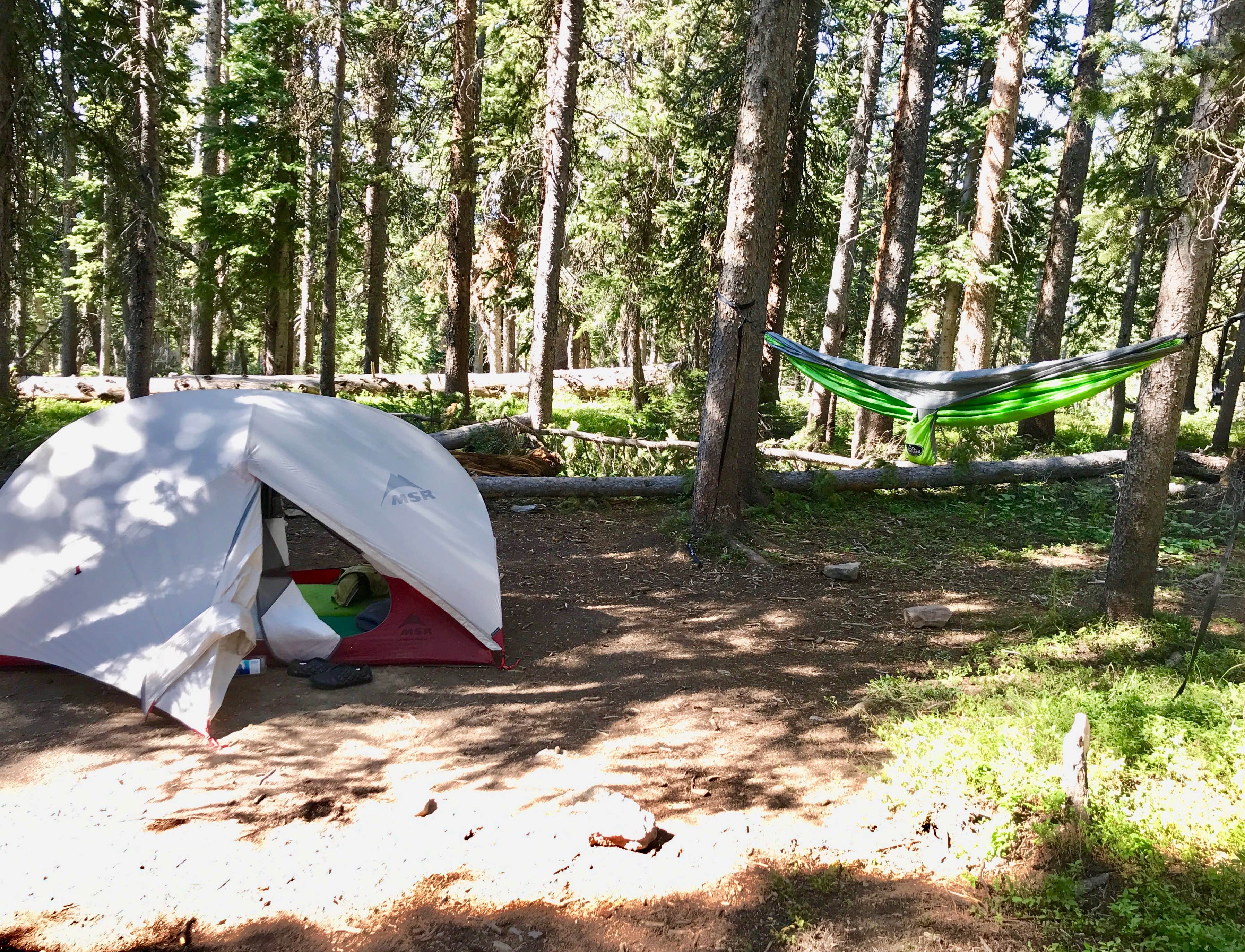Isabelle K.'s photo of tent camping at Eagle-Holy Cross Ranger District (Vail-Eagle area) near Minturn, CO