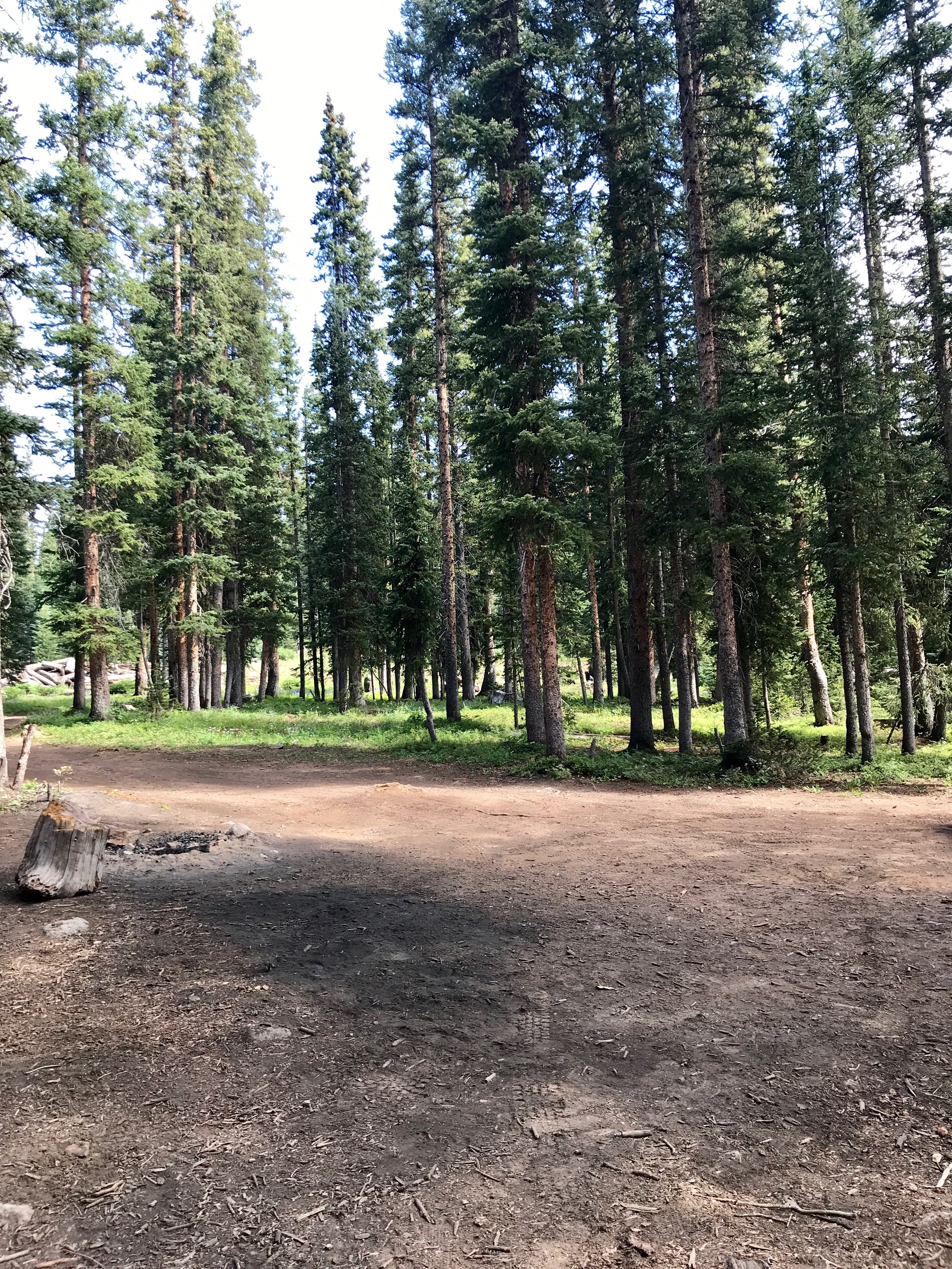 Camper submitted image from Eagle-Holy Cross Ranger District (Vail-Eagle area) - 2