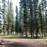 Review photo of Eagle-Holy Cross Ranger District (Vail-Eagle area) by Isabelle K., August 1, 2018