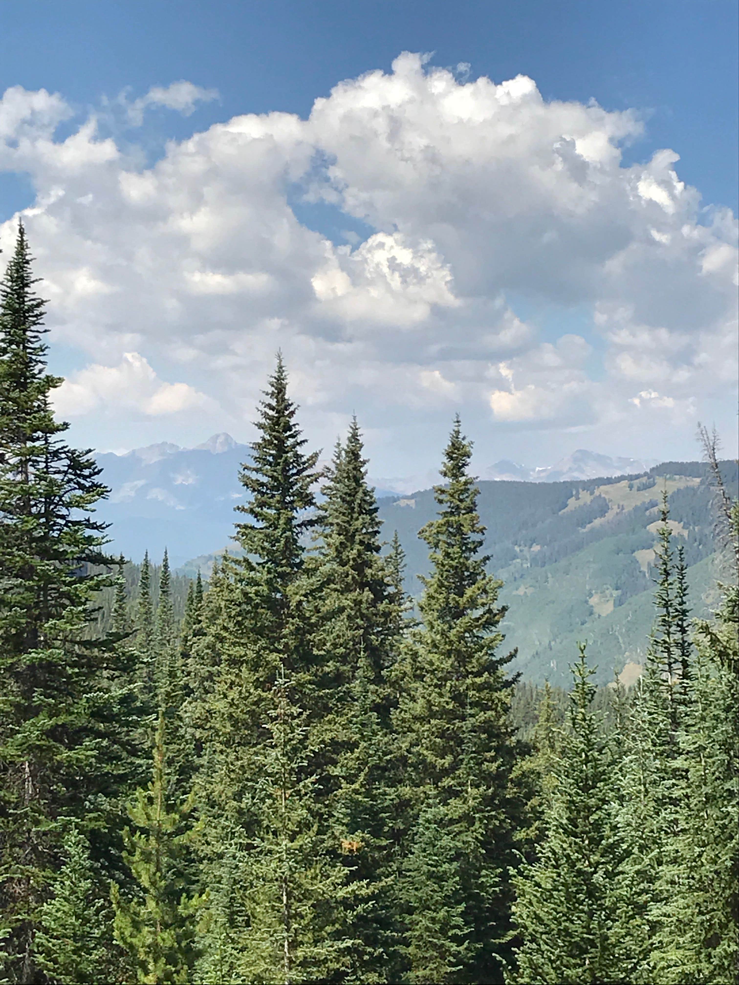 Camper-submitted photo at Eagle-Holy Cross Ranger District (Vail-Eagle area) near Edwards, CO