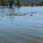 Review photo of Collins Lake Recreation Area by Debbie R., August 1, 2018