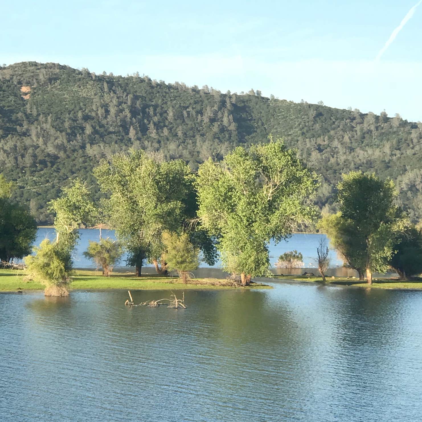 Collins Lake Recreation Area Camping The Dyrt