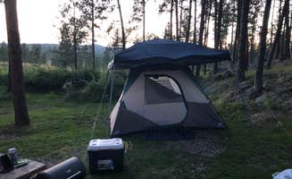 Julia H.'s photo of tent camping at Big Pine Campground near Black Hills National Forest