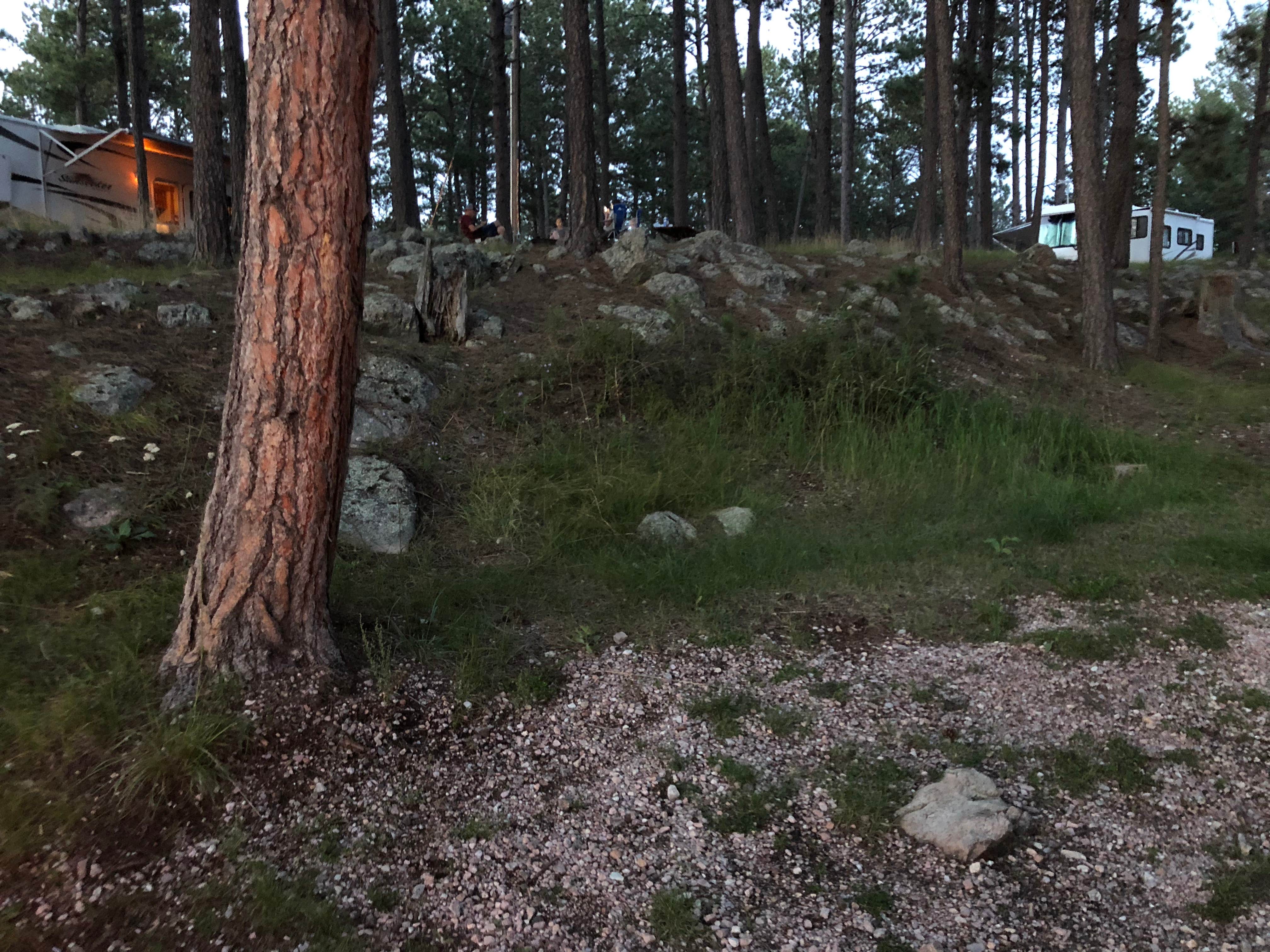 Camper submitted image from Big Pine Campground - 5