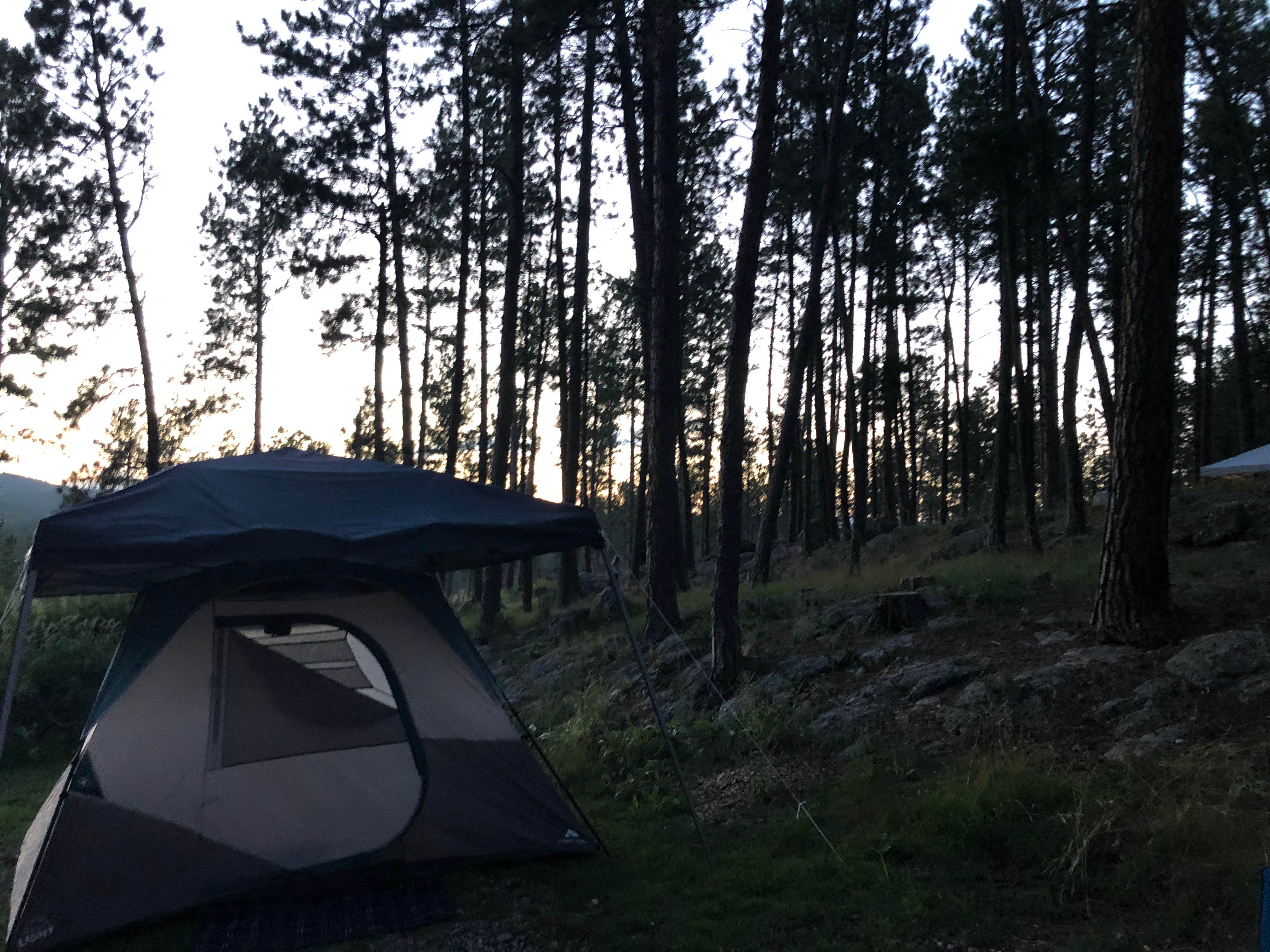 Julia H.'s photo of tent camping at Big Pine Campground near Piedmont, SD