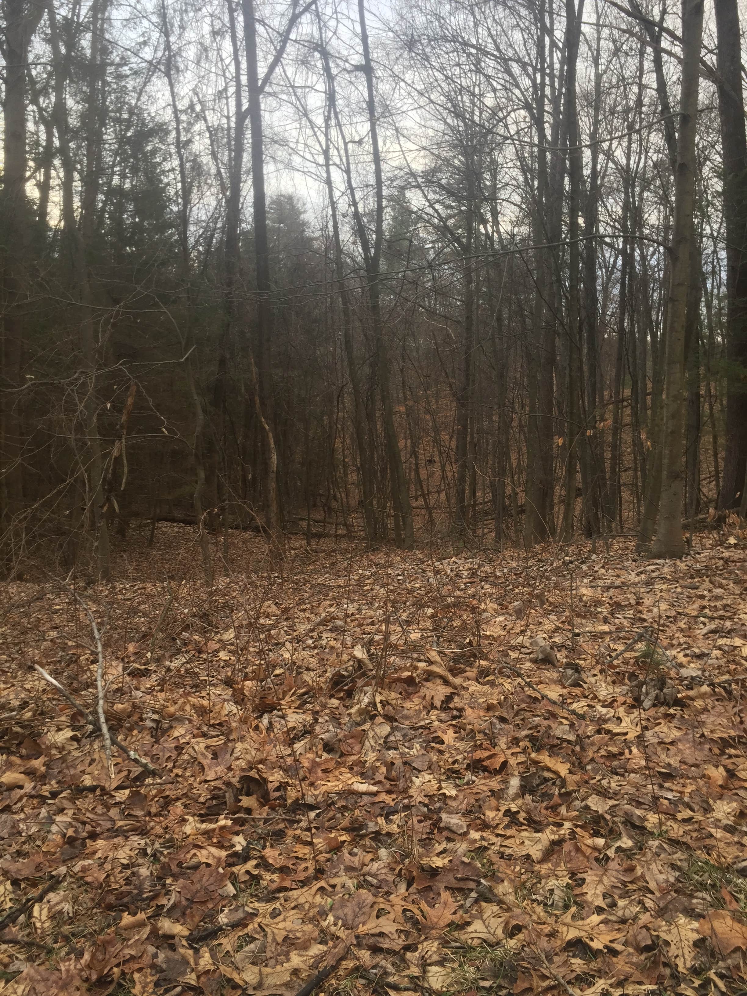 Camper-submitted photo at Creek View Campground near Wallkill, NY