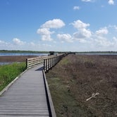 Review photo of Palmetto Ridge Campground — Myakka River State Park by Malaney H., August 1, 2018