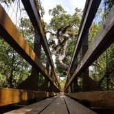 Review photo of Palmetto Ridge Campground — Myakka River State Park by Malaney H., August 1, 2018