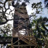 Review photo of Palmetto Ridge Campground — Myakka River State Park by Malaney H., August 1, 2018