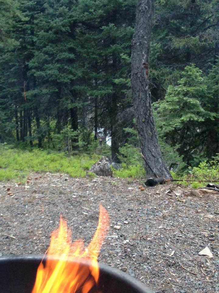 Camper submitted image from Strawberry Campground - 2