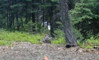 Heather B.'s photo at Strawberry Campground near Dayville, OR