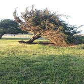 Review photo of Half Moon Bay State Beach Campground by Debbie R., August 1, 2018