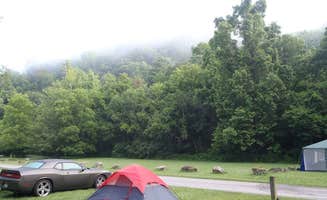 Jessica P.'s photo at Blowing Springs near Hillsboro, WV