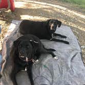 Review photo of Tuttletown Recreation Area by Debbie R., August 1, 2018