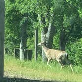 Review photo of Tuttletown Recreation Area by Debbie R., August 1, 2018