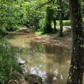 Review photo of Middle Fork Campground — Natural Bridge State Resort Park by Todd C., August 1, 2018