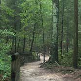 Review photo of Middle Fork Campground — Natural Bridge State Resort Park by Todd C., August 1, 2018