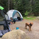 Review photo of Blackwoods Campground — Acadia National Park by Brie R., August 1, 2018