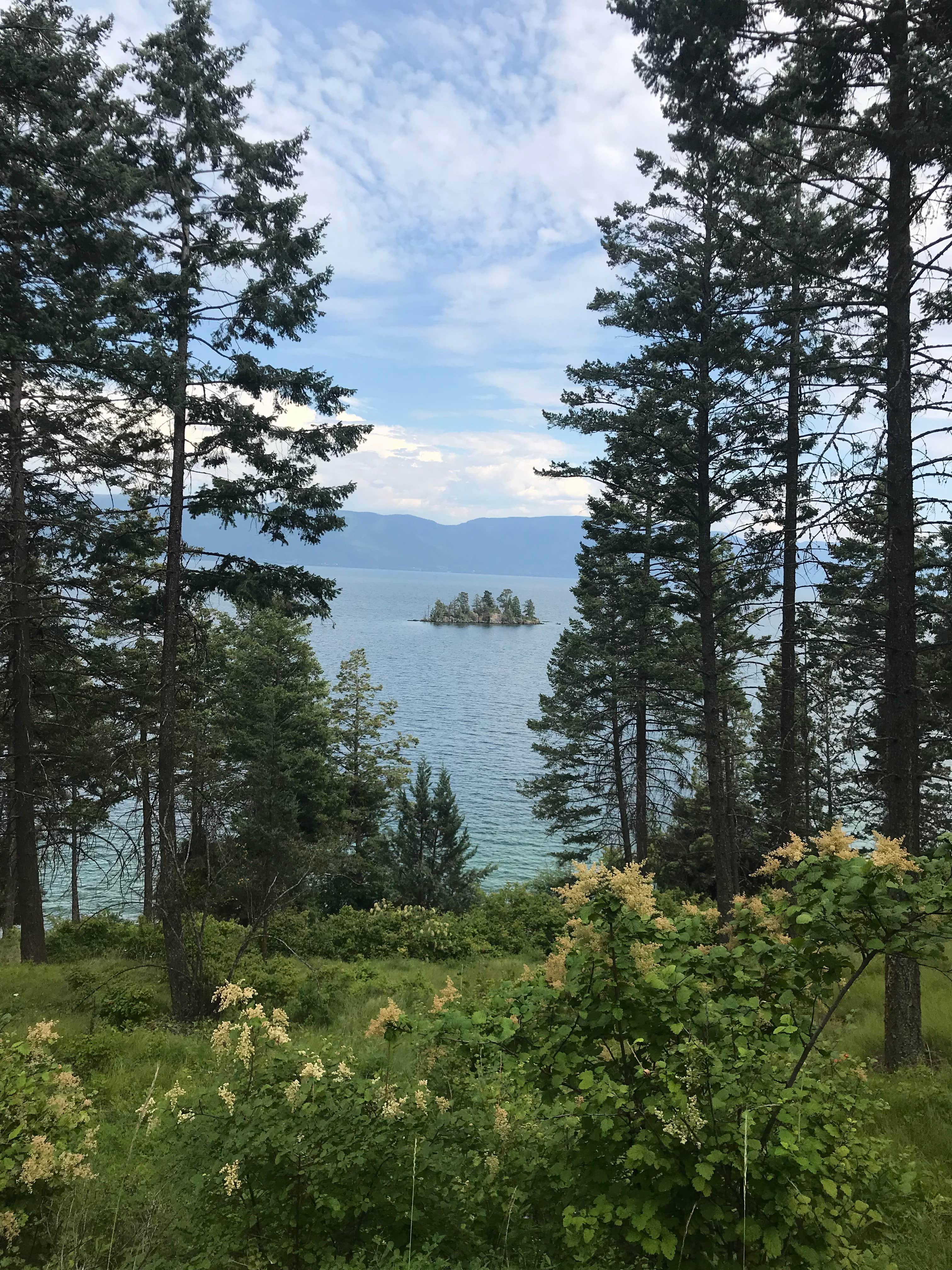 Nature