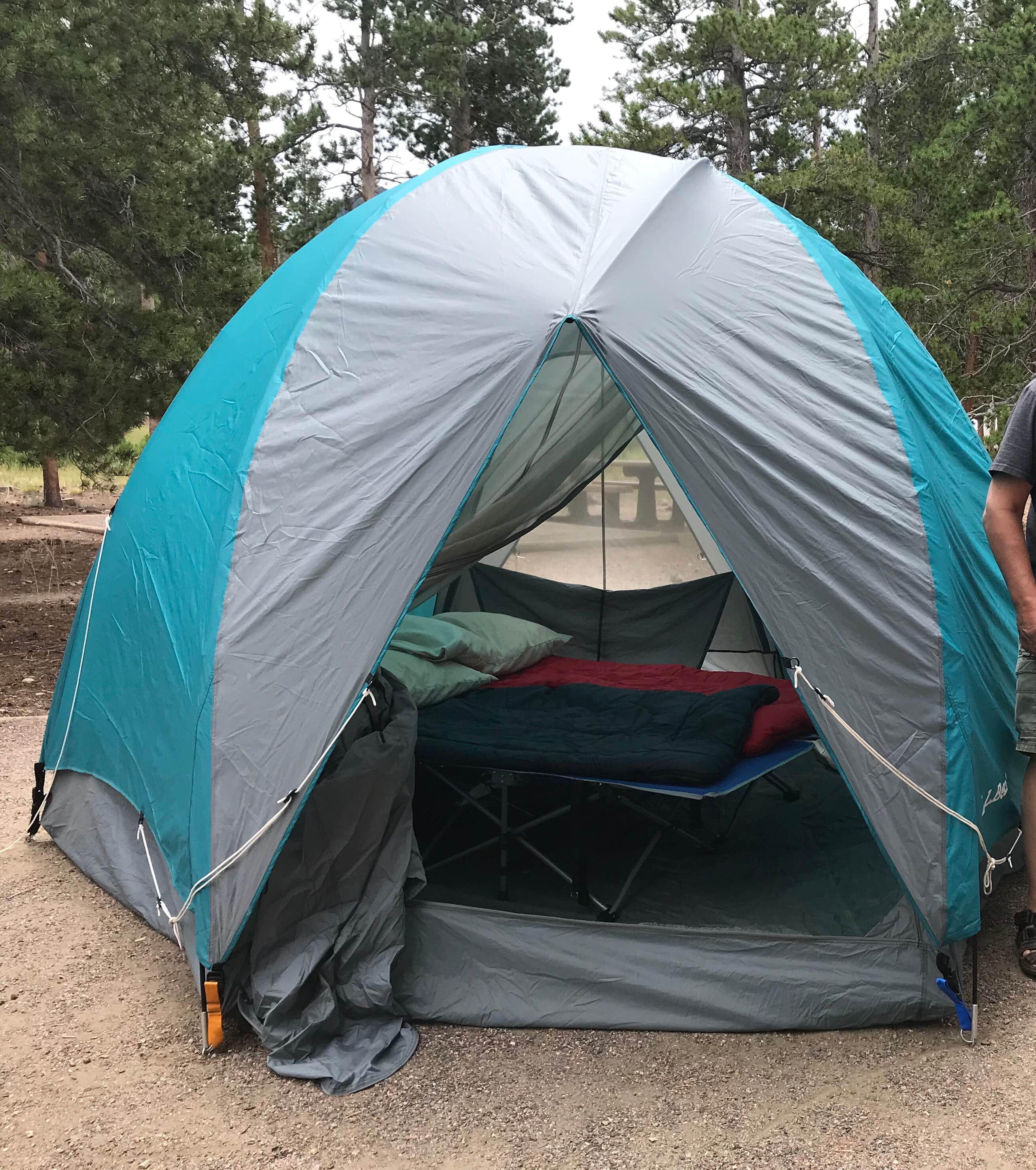 Cheryl S.'s photo at Glacier Basin Campground — Rocky Mountain National Park near Rocky Mountain National Park