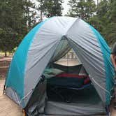 Review photo of Glacier Basin Campground — Rocky Mountain National Park by Cheryl S., August 2, 2018