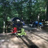 Review photo of Royal Oak Campground — Hungry Mother State Park by Kelsey H., August 2, 2018