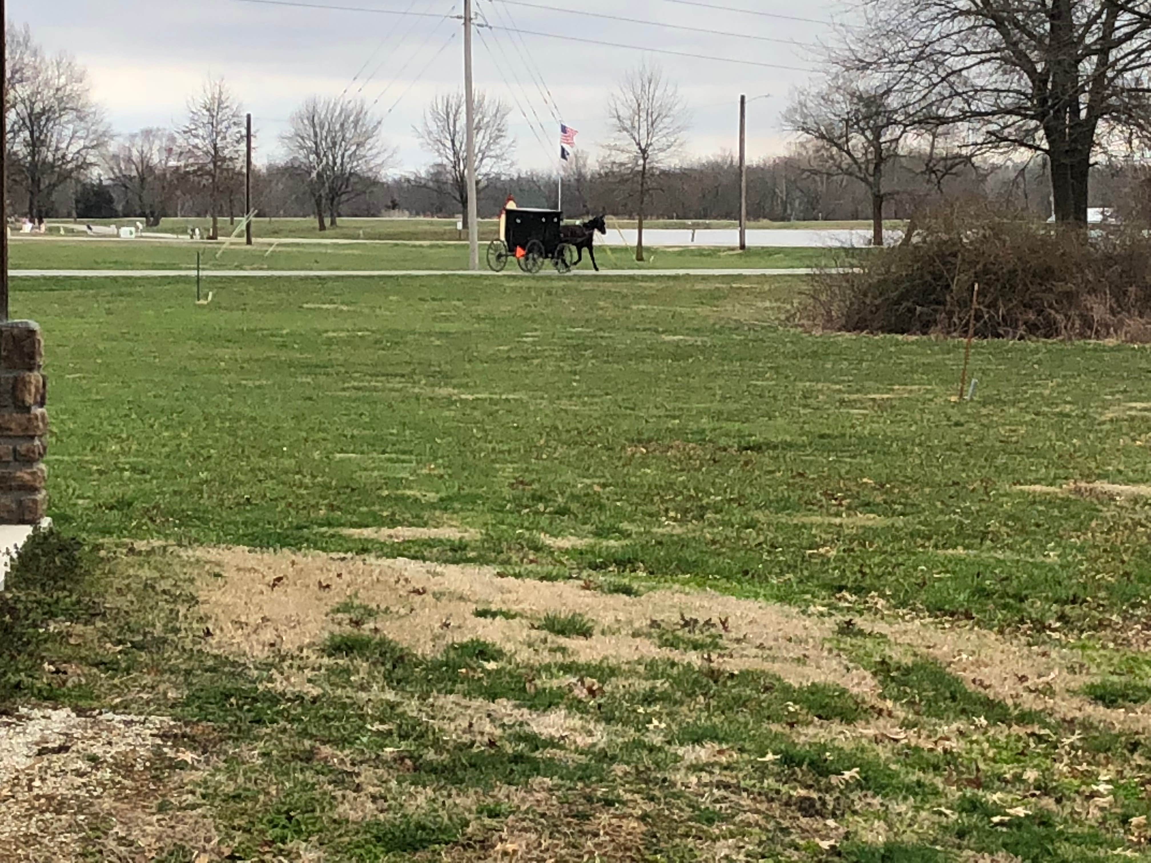 Camper-submitted photo at Farrington City Park near Clinton, MO