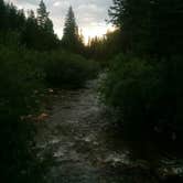 Review photo of Roosevelt National Forest Camp Dick Campground by Victoria F., August 2, 2018