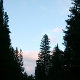 Review photo of Roosevelt National Forest Camp Dick Campground by Victoria F., August 2, 2018