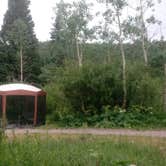 Review photo of Roosevelt National Forest Camp Dick Campground by Victoria F., August 2, 2018
