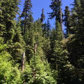 Review photo of Sol Duc Hot Springs Resort Campground — Olympic National Park by Bill M., June 14, 2015