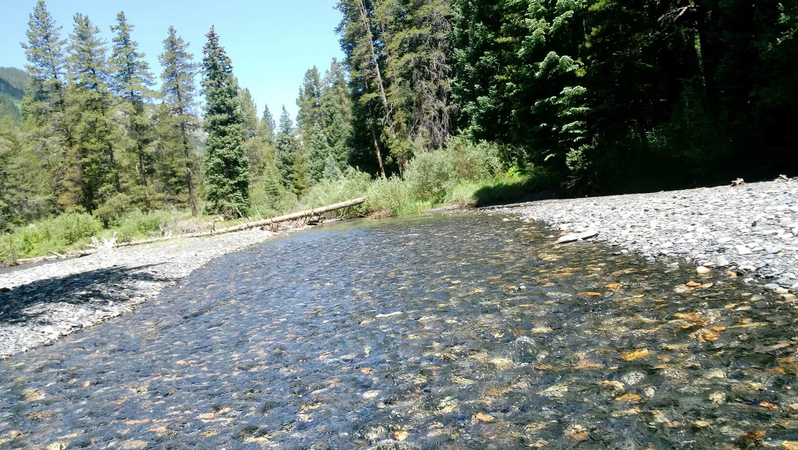 Camper-submitted photo at Oh Be Joyful Campground near Crested Butte, CO