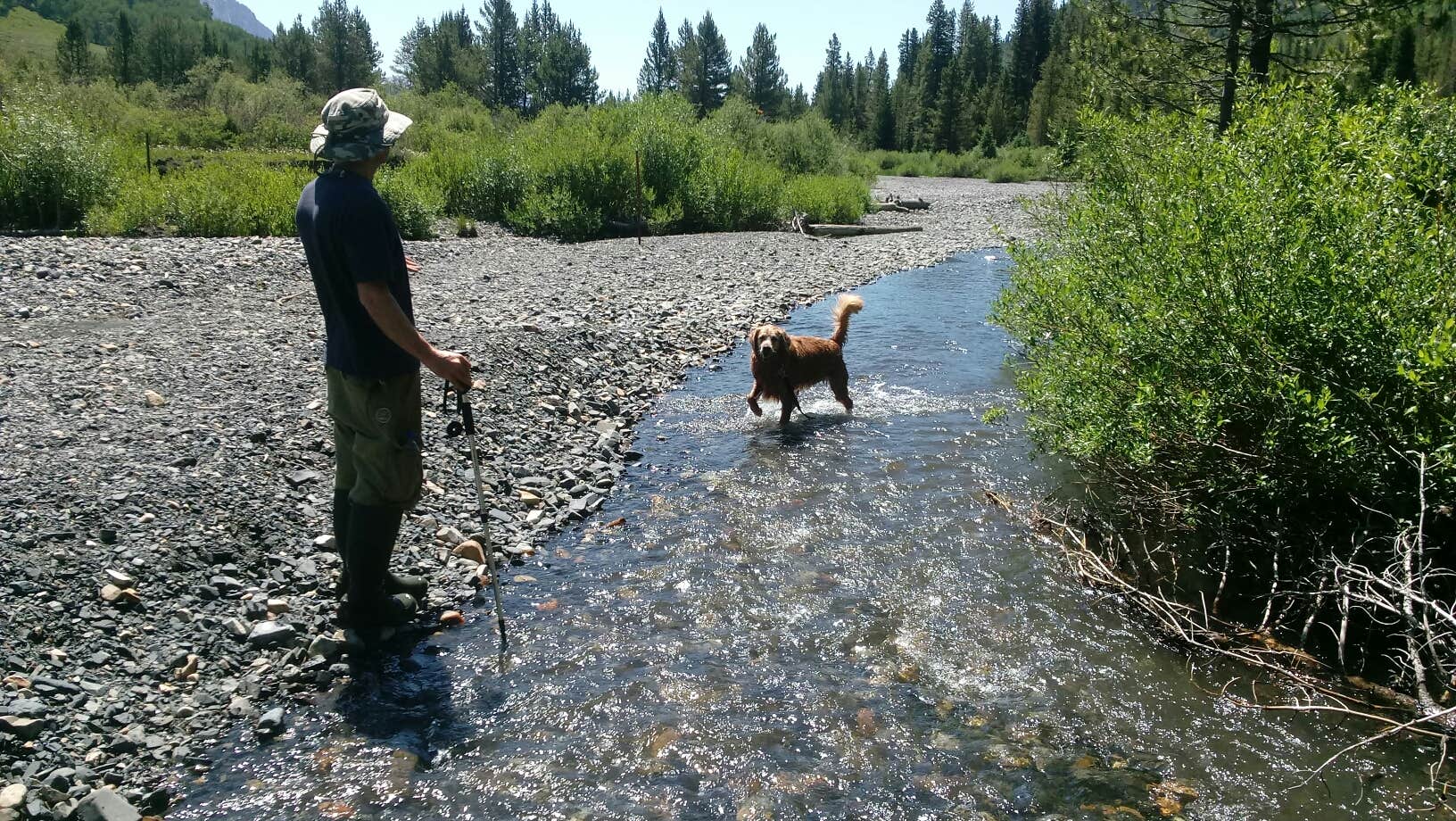 Victoria F.'s photo of camping with pets at Oh Be Joyful Campground near Crested Butte, CO