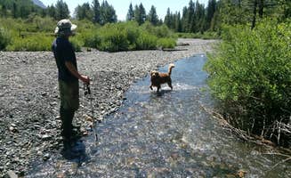 Victoria F.'s photo of camping with pets at Oh Be Joyful Campground near Almont, CO