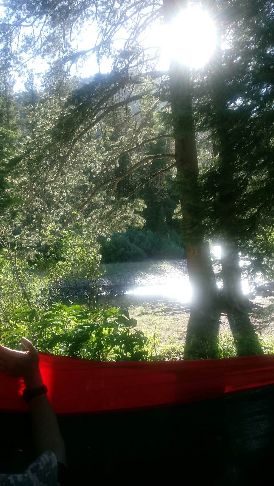 Camper-submitted photo at Oh Be Joyful Campground near Crested Butte, CO