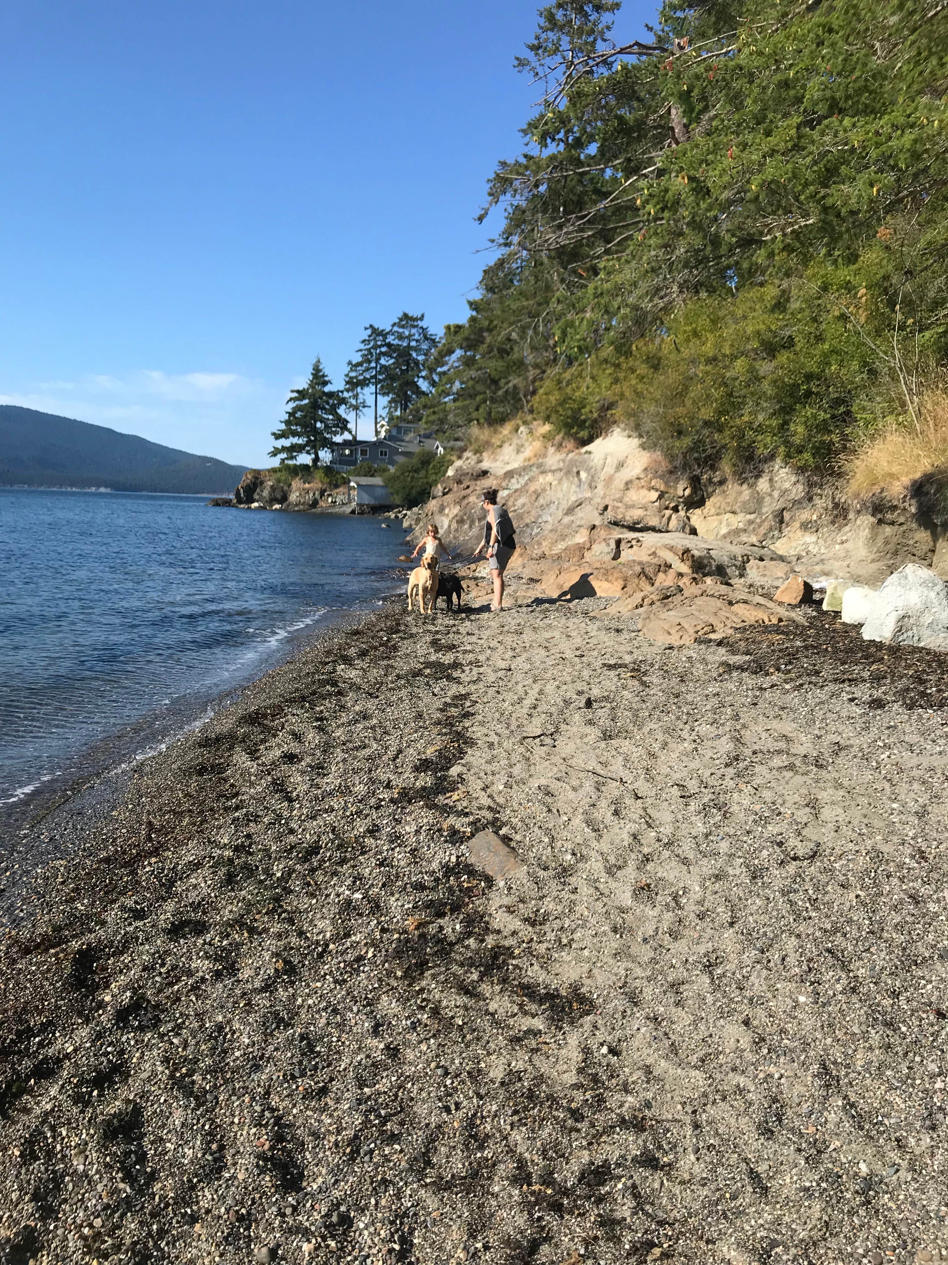 Camper-submitted photo at Washington Park Campground near Olga, WA