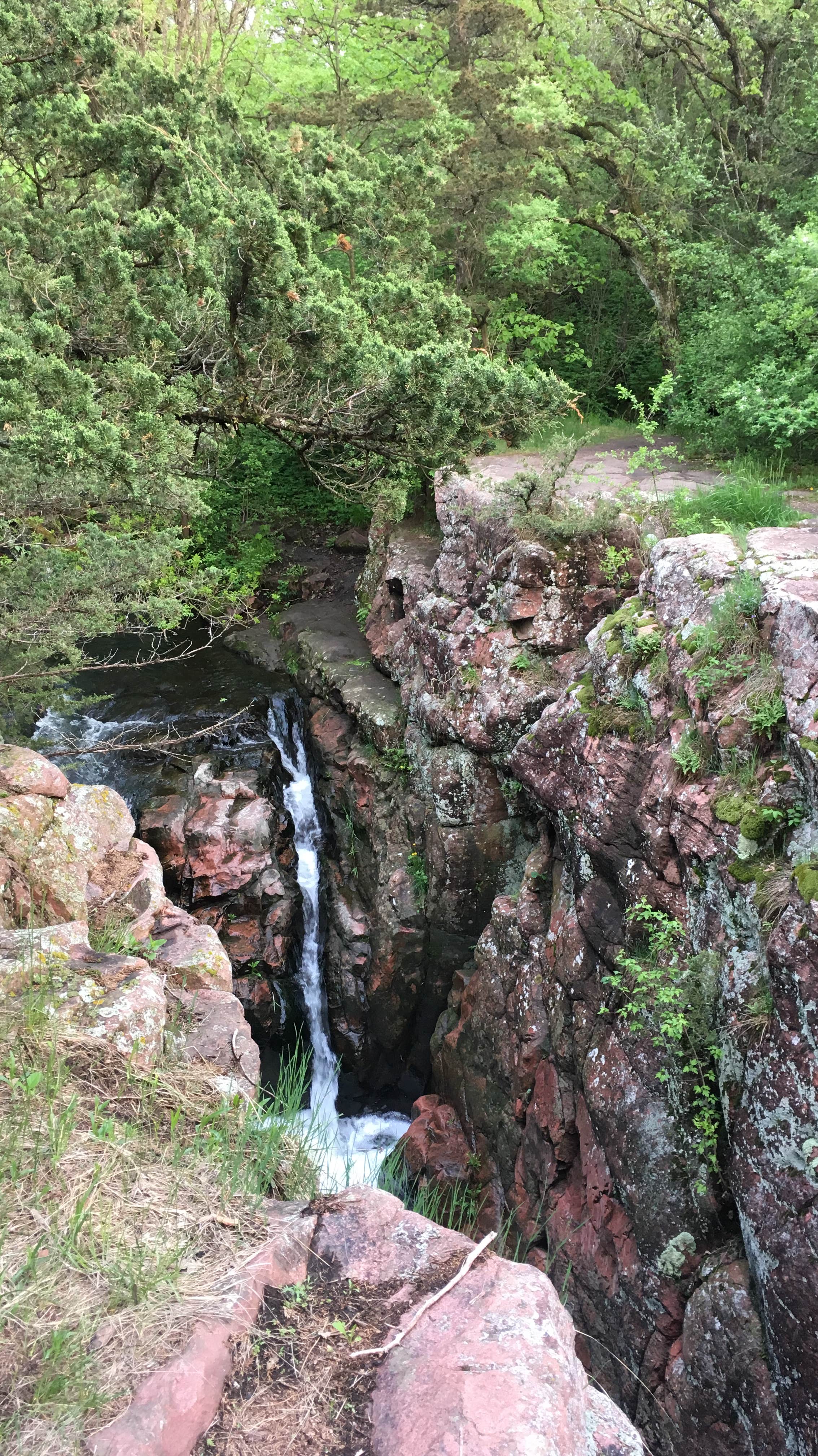 Camper submitted image from Split Rock Park - 3