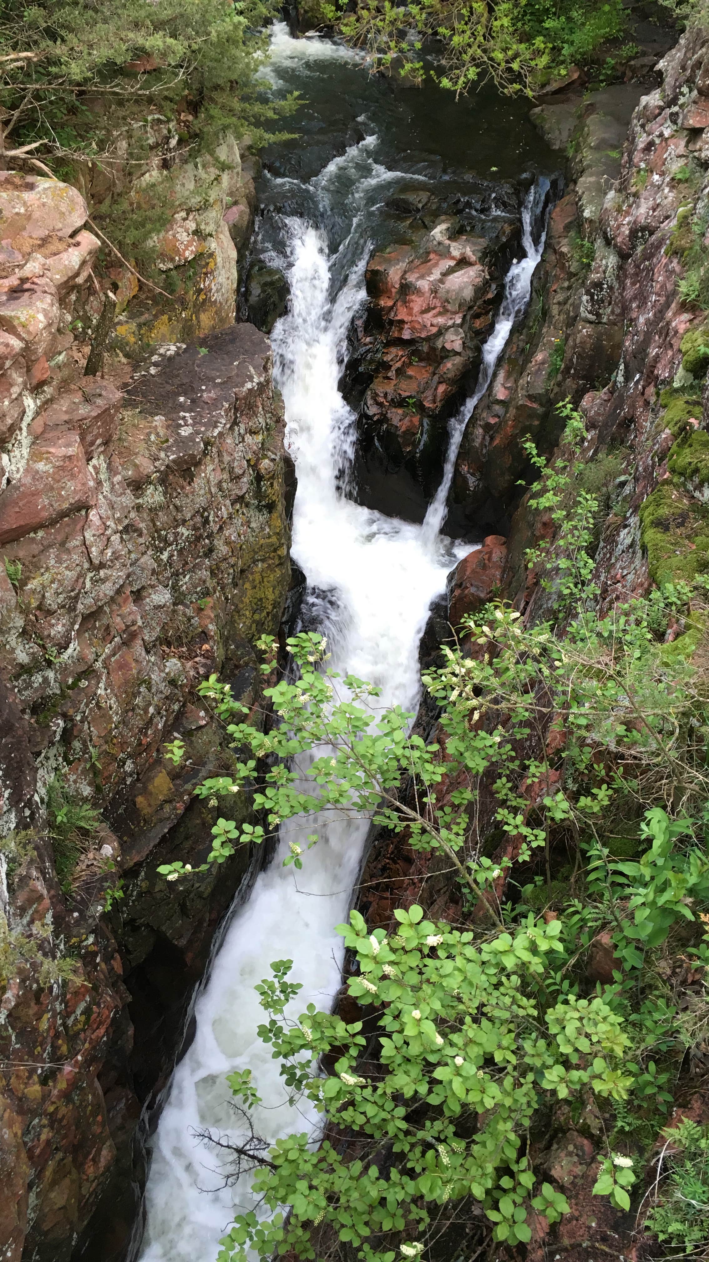 View All
