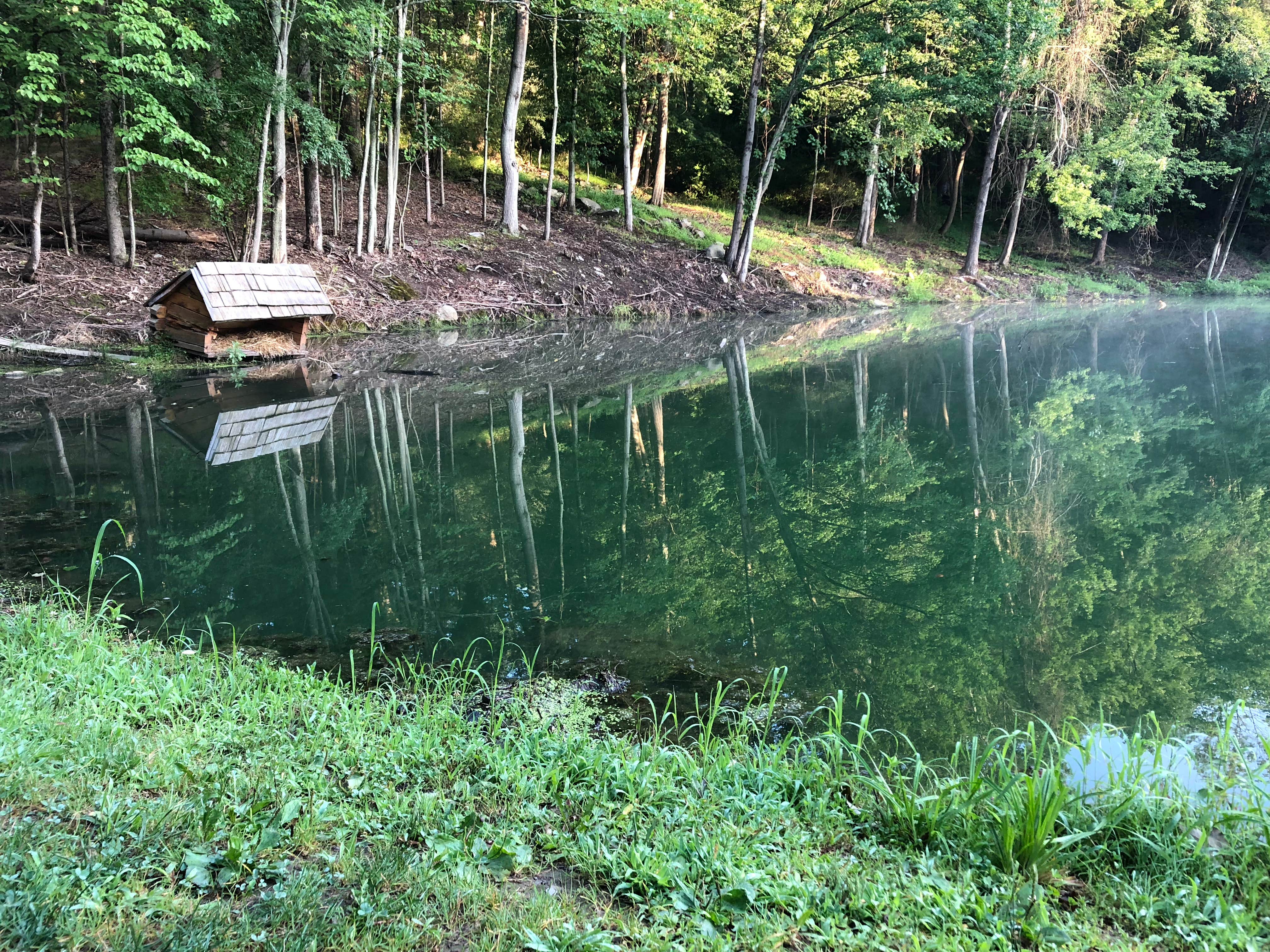 Camper submitted image from Mountain Vista Campground - 5